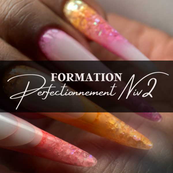 ACOMPTE FORMATION PERFECTIONNEMENT NIV2